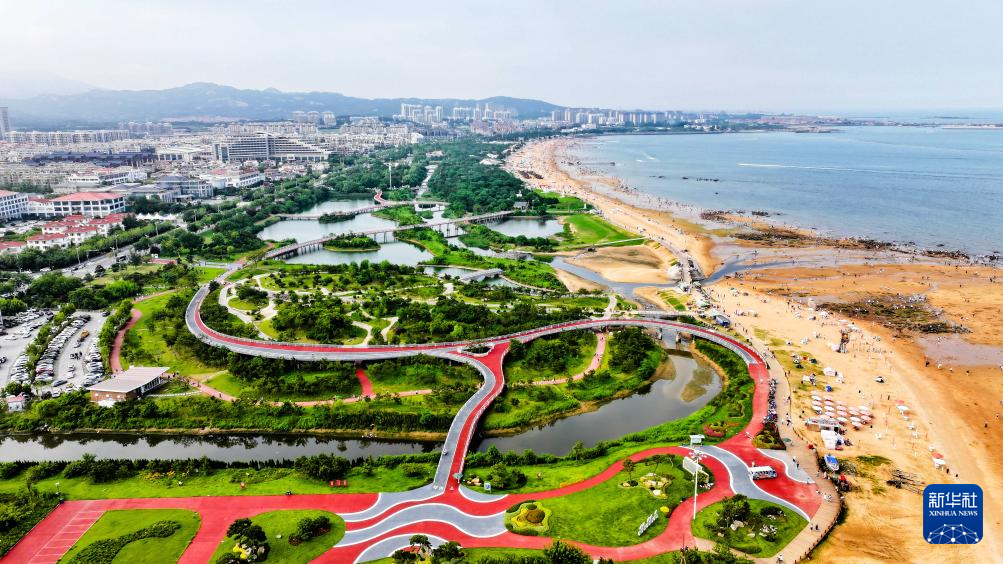 山東：近海岸線修復(fù)讓濱海飄揚生態(tài)“綠絲帶”